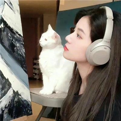 第五区的女人