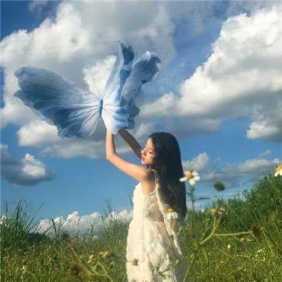 万花迎春